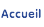 accueil site de la societe informatique netis