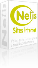 Cration site internet Toulouse - Netis est une agence web base  Toulouse : dveloppement, conception, ralisation et rfrencement de sites web (cms spip, site statique, site dynamique, intranet, extranet,...) pour entreprises, pme et associations